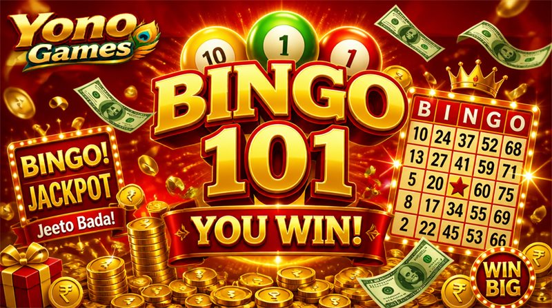 Bingo 101: The Best Online Gaming Platform in India